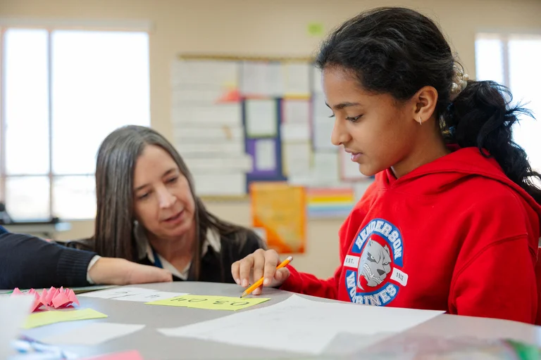 Differentiated instruction